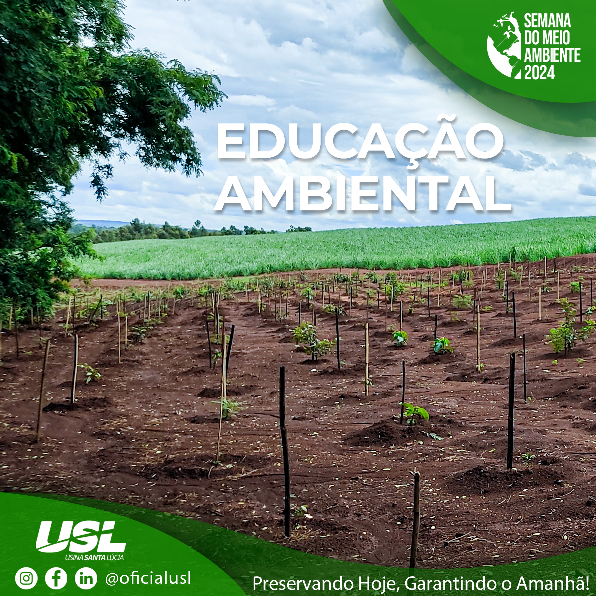 Semana do Meio Ambiente: Educação Ambiental 📚🌍